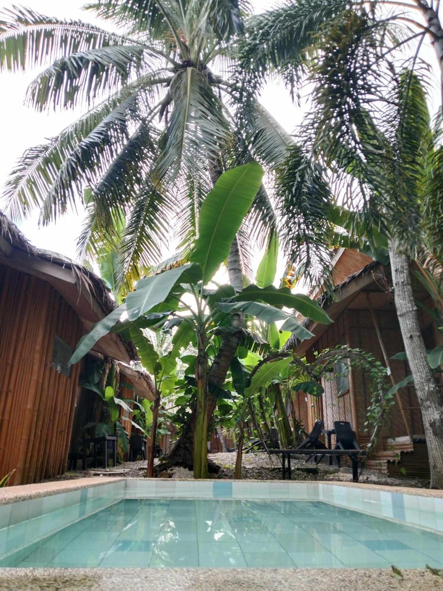 Ecostay Panglao Resort Hotel Buitenkant foto