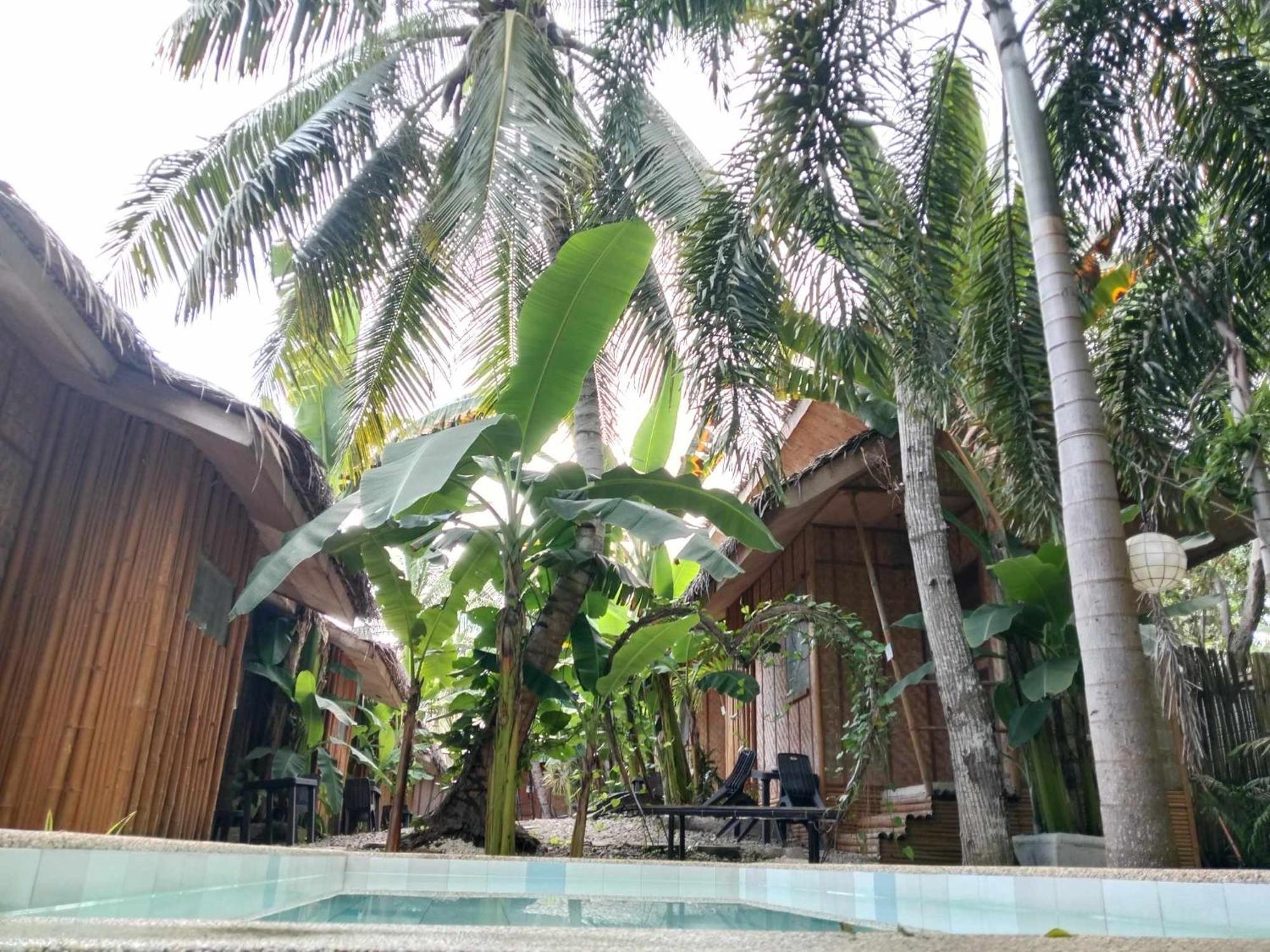 Ecostay Panglao Resort Hotel Buitenkant foto